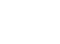 Kiss No Frog
