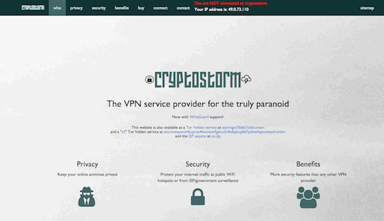 CryptoStorm VPN Erfahrungen und Test