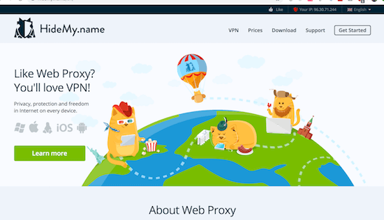 HideMy.name VPN Erfahrungen und Test